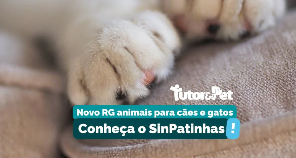 Postagem - SinPatinhas