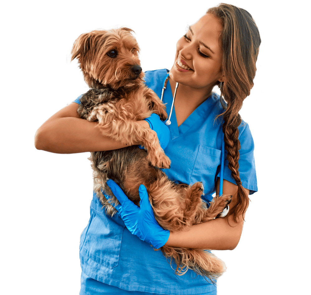 Banner IMG Tutor&Pet Rede Credenciada - Oficial